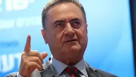 كاتس