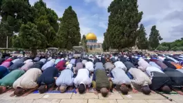 50-ألفا-يؤدون-صلاة-الجمعة-في-المسجد-الأقصى-1686914475.jpg.webp