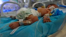 طفل حديث الولادة غزة