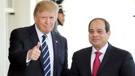 السيسي.