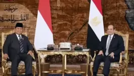السيسي ونظيره الأندونيسي.