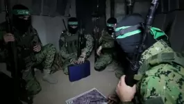 شسيسي1-1714464721.webp
