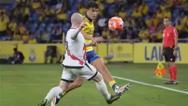 تنزيل (3).webp