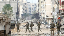 لقطة الشاشة 2025-06-14 144155.png