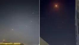 شسيضصيد-1750698161.webp