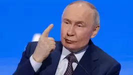 12903508-1742393377.webp