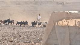 مستوطنون.jpg-7111204b-b365-449e-87ea-d3ad05b25fdb.jpg