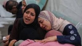 تنزيل (14).jpeg