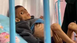 المجاعة في غزة