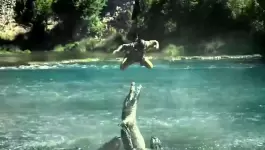 تماسيح