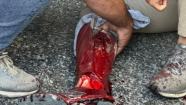 لقطة الشاشة 2025-10-21 205414.png