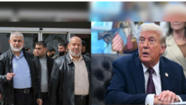 لقطة الشاشة 2025-10-11 150112.png