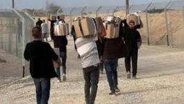 تنزيل (15).jpeg