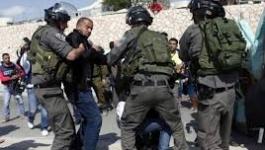 تنزيل (15).jpeg