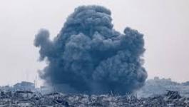 تنزيل (17).jpeg