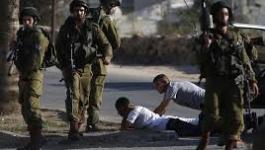 تنزيل (19).jpeg