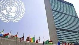 تنزيل (17).jpeg