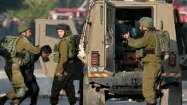 تنزيل (17).jpeg