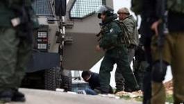 تنزيل (26).jpeg