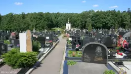 محاولة اغتيال