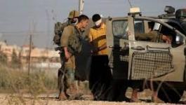 تنزيل (28).jpeg