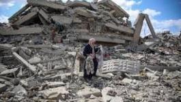 تنزيل (19).jpeg