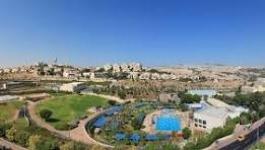 تنزيل (15).jpeg