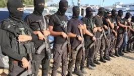 تنزيل (13).jpeg