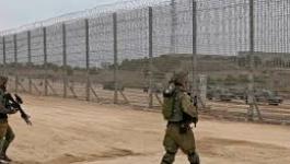 تنزيل (15).jpeg