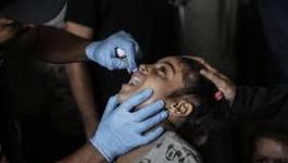 تنزيل (20).jpeg