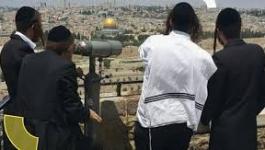 تنزيل (31).jpeg