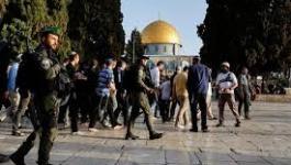 تنزيل (13).jpeg