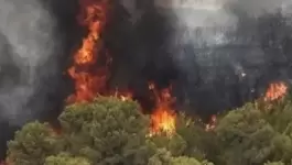 حريق يلتهم غابات إيرانية مُدرجة على قائمة 
