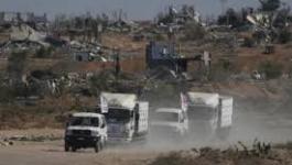 تنزيل (26).jpeg