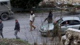 تنزيل (32).jpeg