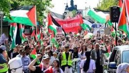 تنزيل (15).jpeg