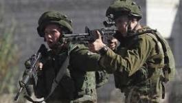 تنزيل (15).jpeg