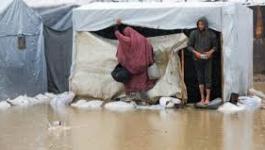 تنزيل (31).jpeg