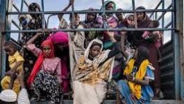 تنزيل (23).jpeg