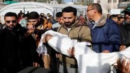 تنزيل (20).jpeg