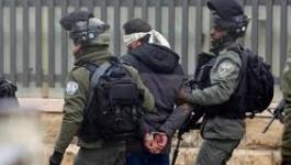 تنزيل (15).jpeg