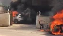 تنزيل (29).jpeg