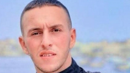 لقطة الشاشة 2025-11-30 210028.png