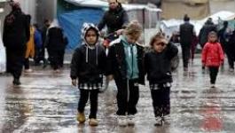 تنزيل (17).jpeg