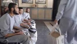 تنزيل (20).jpeg