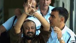 تنزيل (23).jpeg