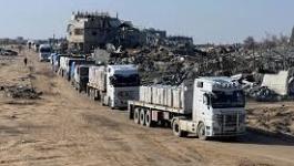 تنزيل (15).jpeg