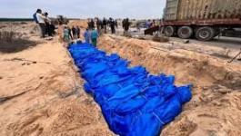 تنزيل (23).jpeg