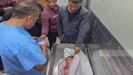 تنزيل (20).jpeg