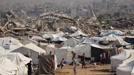 تنزيل (15).jpeg